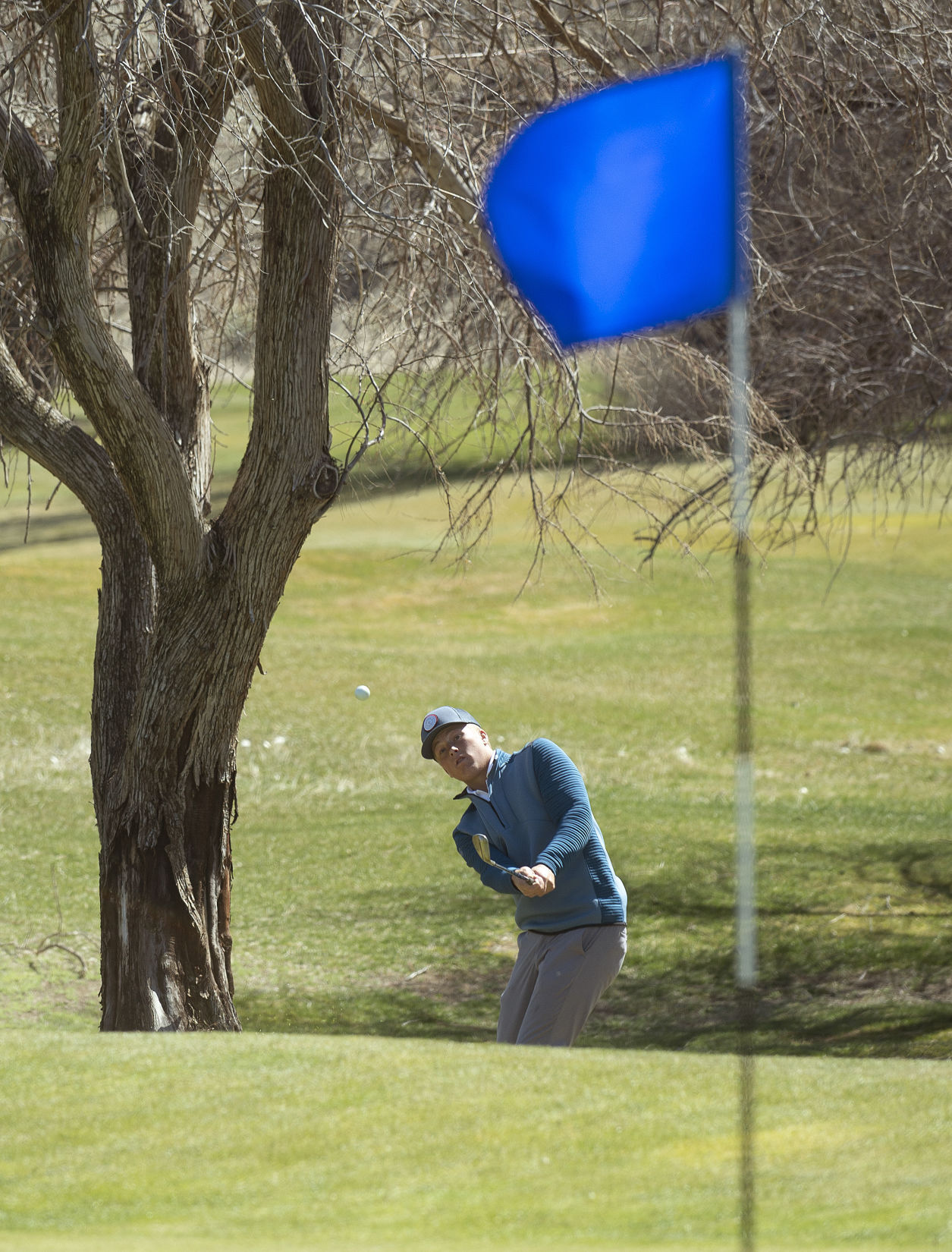 Area schools compete at Canyon Springs Golf Course